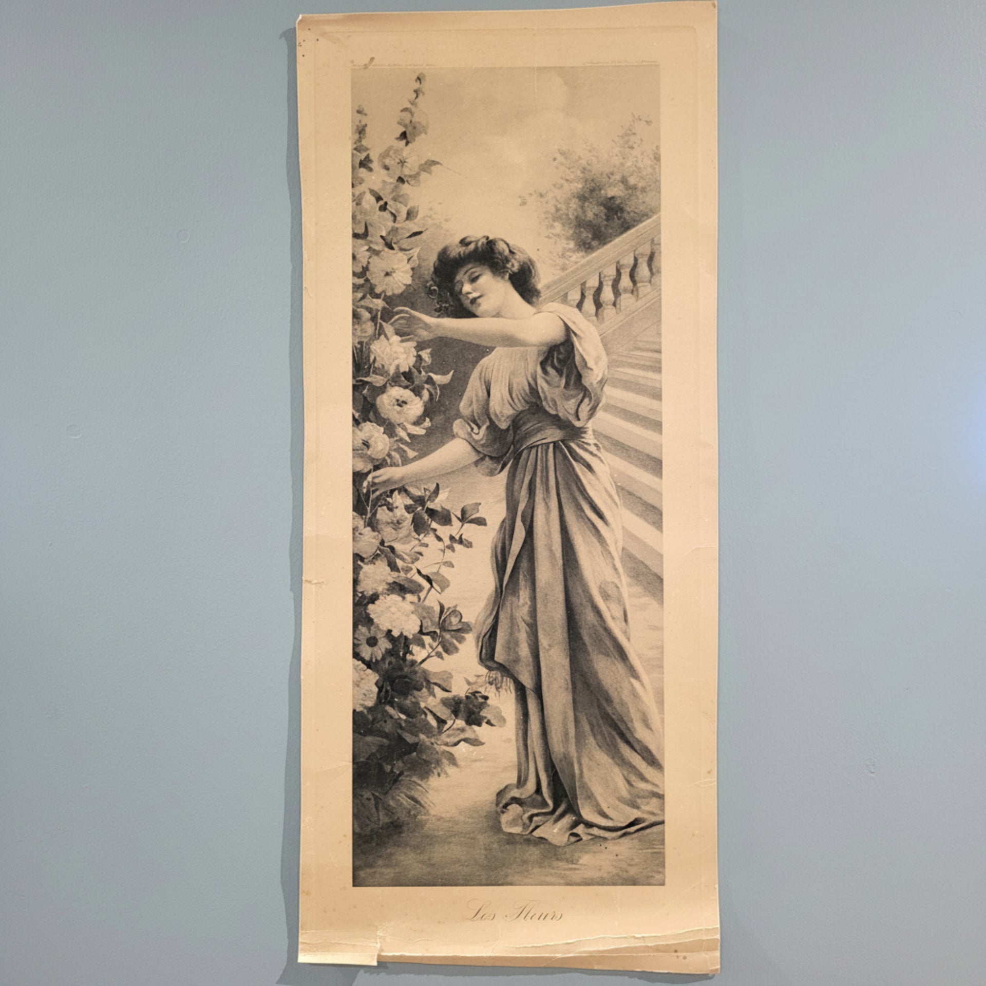 Les Fleurs Print - from Paris