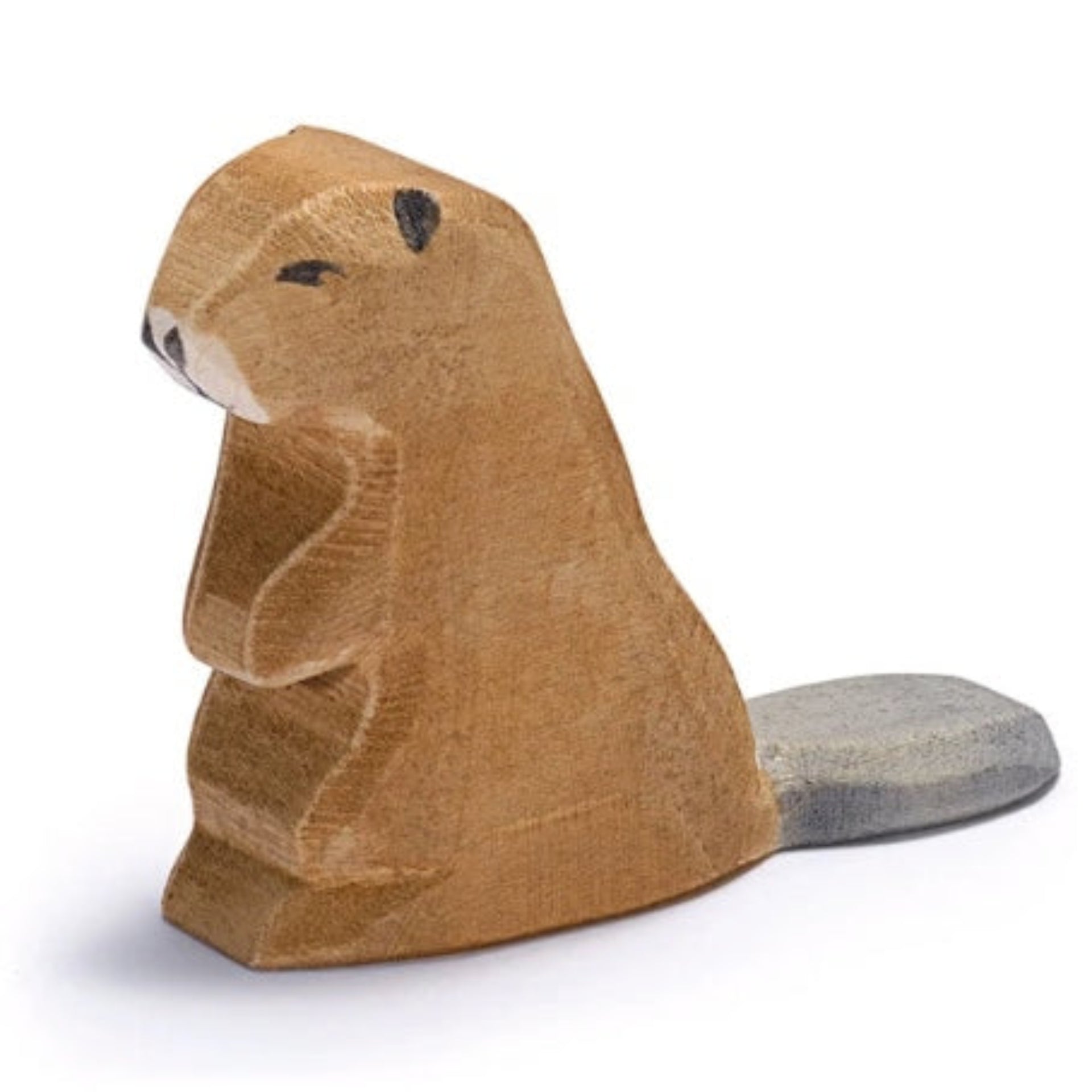 Ostheimer Beaver Sitting