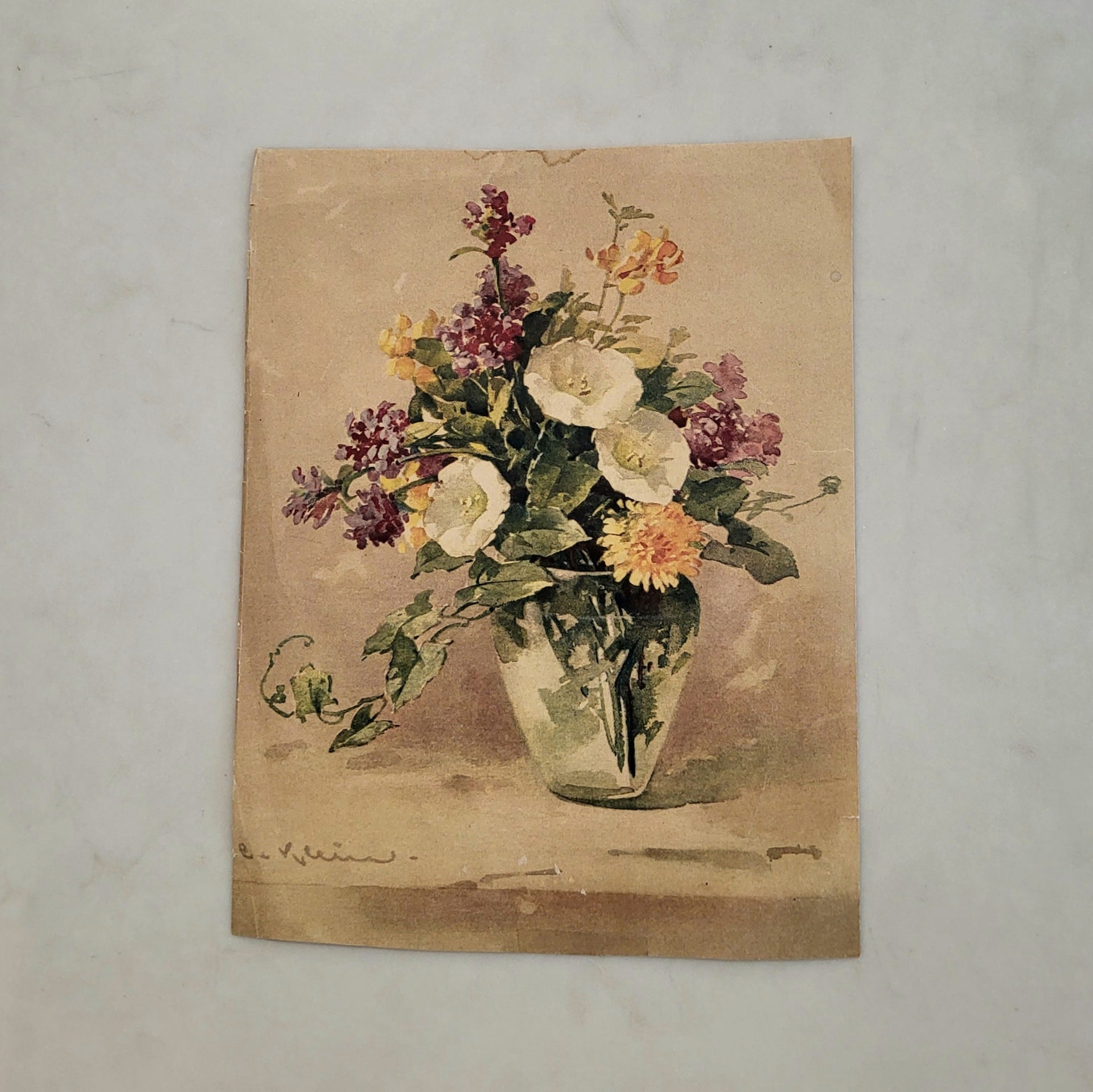 Vintage Floral Print by C. Klein - from Paris