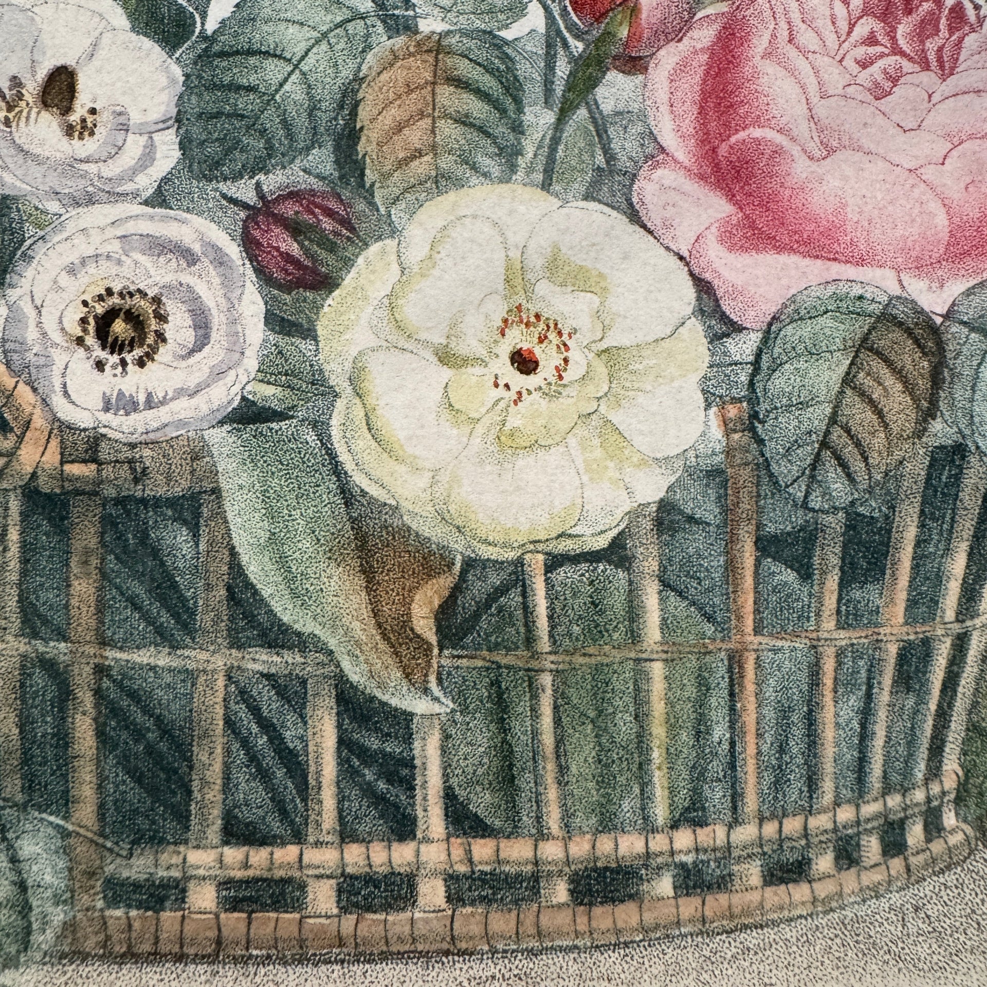 Vintage Illustration Basket of Flowers - from Paris