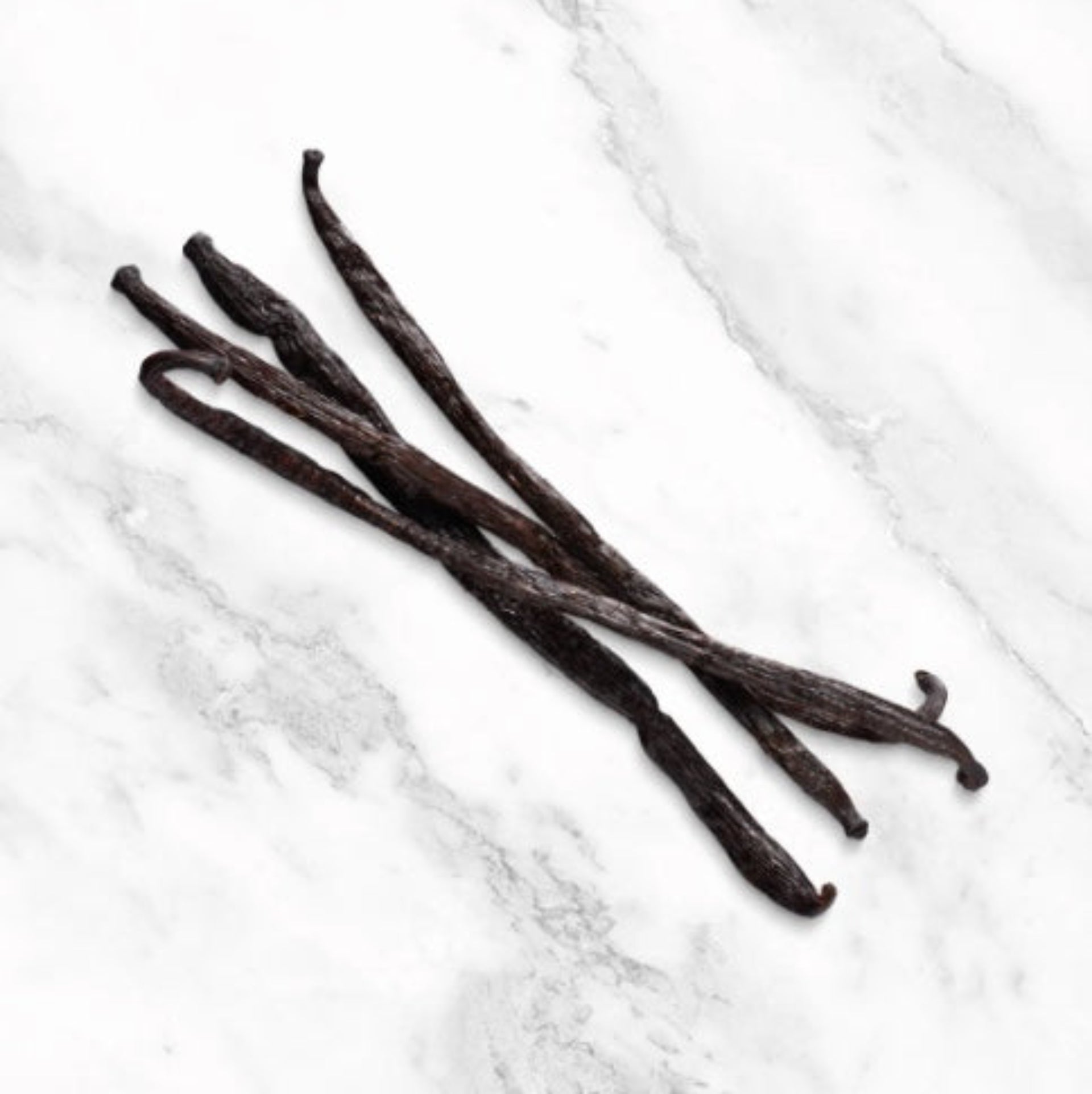 Maison Gabrielle Vanilla Bean