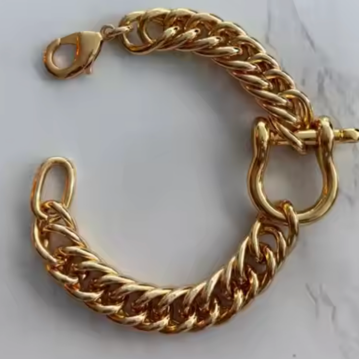 Horse Bit Carabiner Waterproof Bracelet - Gold
